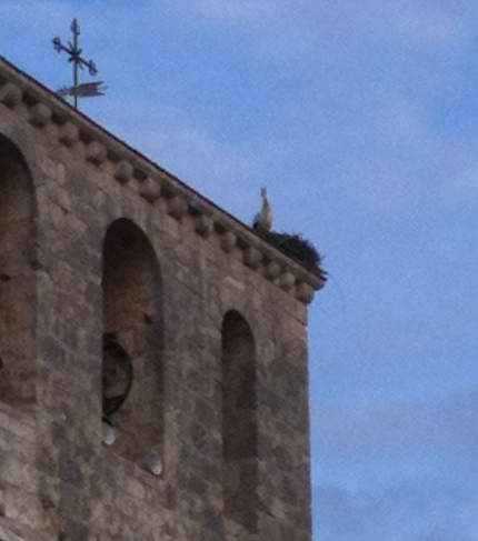 La cigueña en la espadaña de la iglesia de Villatuelda