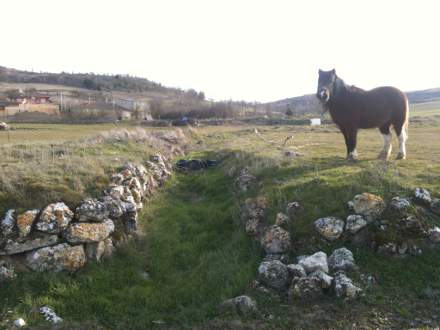 El camino de Carraval en Villatuelda en la actualidad