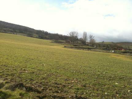 Villatuelda y sus campos llenos de brotes verdes en el invierno de 2013