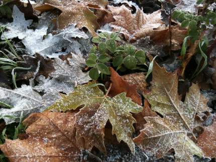 Llega el frío a Villatuelda en otoño de 2013